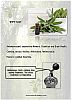 Aromatherapy Essential Oil White Sage Properties and Scent