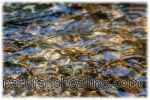 Waterstones Water Stones Crystal Clear Water